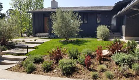 Mid Century Front Yard, Mcm Landscaping, Midcentury Landscaping, Mid Century Modern Landscaping, Mid Century Landscaping, Church House, Modern Front Yard, Modern Remodel, Front Yard Design