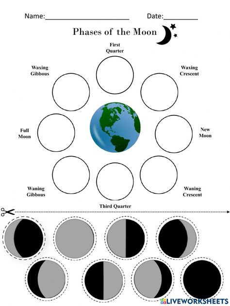 Energy Quiz, States Of Matter Worksheet, Matter Worksheets, The Phases Of The Moon, Cut And Paste Worksheets, Moon Cut, States Of Matter, Force And Motion, Phases Of The Moon