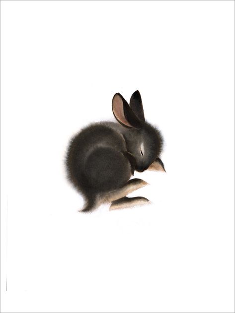 Black Sleeping Bunny (PRINT), Camille André Rabbit Sleeping, Sleeping Bunny, Animal Illustrations, Music Events, Gathering Place, Bunny Print, Seven Days, Music Event, Local Artists