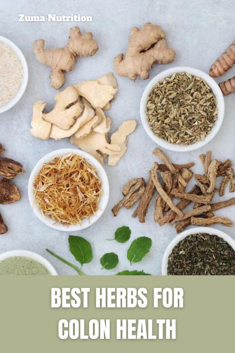 Natural herbs can help support colon health and prevent constipation, diarrhea, and inflammation. Explore the best herbs for colon health and how they can benefit your digestive system. Herbs For Colon Health, Herbs For Colon Cleanse, Colon Health, Acupressure Massage, Prevent Constipation, Natural Colon Cleanse, Digestive Issues, Nursing Tips, Natural Cold Remedies