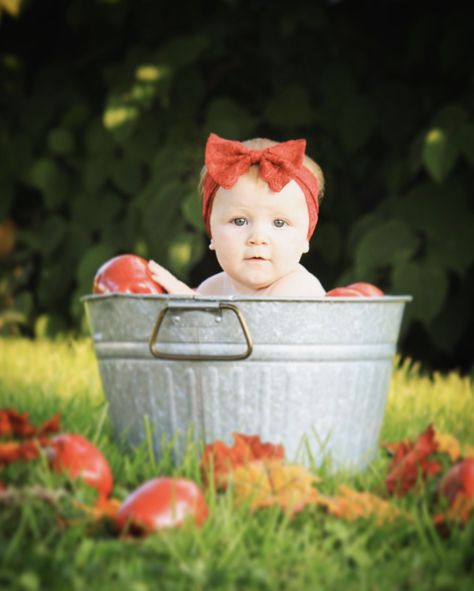 Apple Photoshoot Baby, Apple Baby Photoshoot, Baby Apple Photoshoot, Apple Orchard Photoshoot Family, Apple Picking Photography, Apples Photography, Baby Apple, Apple Picture, Apple Photo