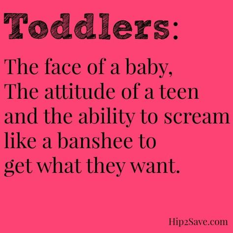 Toddler memes to brighten your day... or at least keep you from going ballistic about the Legos on the floor Toddler Meme, Kind Meme, Toddler Quotes, Toddler Humor, Teacher Memes, Mom Memes, Parenting Memes, Mommy Life, Parenting Humor