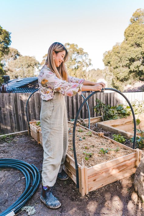 How to build an easy DIY Netting Structure for Your Raised Veggie Bed! — CONNIE AND LUNA Diy Greenhouse For Raised Beds, Raised Garden Bed With Screen, Garden Bed Protection Diy, Raised Bed Greenhouse Cover, Diy Garden Cover Raised Beds, Greenhouse Beds Raised Gardens, Covering Raised Garden Beds, Raised Bed Hoop Cover, Raised Bed Cage