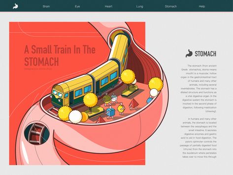 Stomach Creative Ads, Human Body Infographic, Train Map Illustration, Stomach Illustration, Medicine Poster, Medicine Illustration, Medical Poster, Book Advertising, Medical Posters