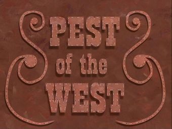 Pest of the West - Encyclopedia SpongeBobia Patchy The Pirate, Spongebob Episodes, Legend Stories, Squidward Tentacles, Patrick Star, The Pirate, Title Card, Spongebob Squarepants, Nickelodeon