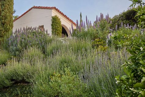 Tour a Heavenly Garden Escape Outside LA