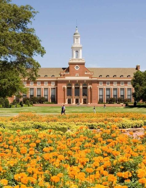 Oklahoma State University Go Pokes, College Aesthetic, Oklahoma State University, Dream College, Oklahoma State, Life Plan, Alma Mater, State University, Oklahoma