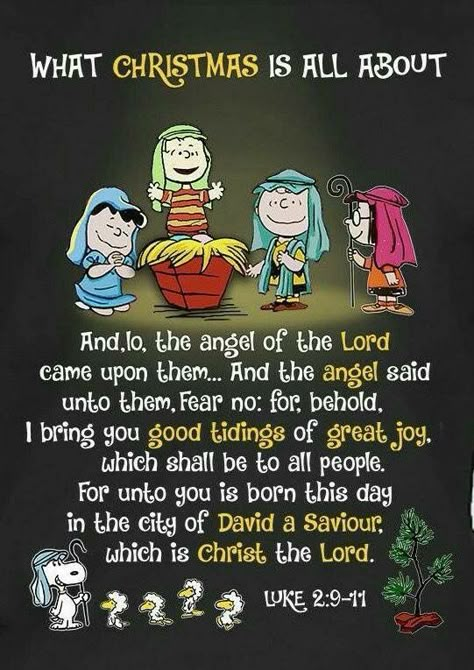 Peanuts and the true meaning of Christmas Snoopy Blessings, What Christmas Is All About, The Angel Of The Lord, Angel Of The Lord, 귀여운 음식 그림, Snoopy Quotes, Peanuts Christmas, Christmas Blessings, Ayat Alkitab