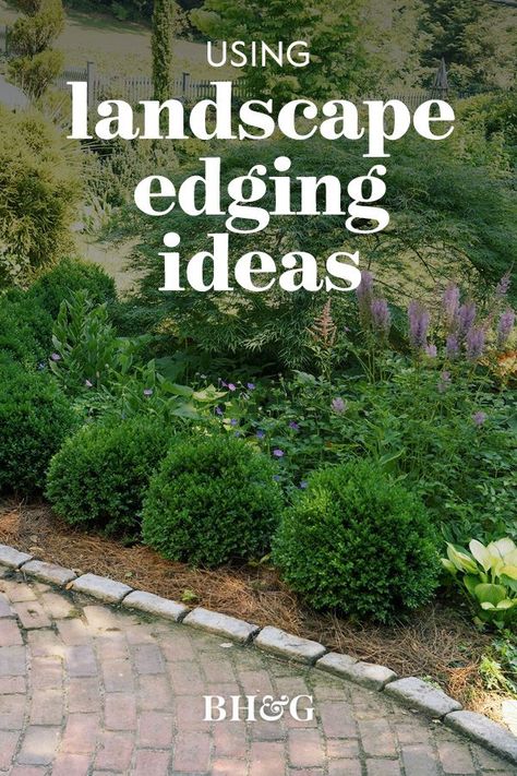 Shrub Border Ideas, Garden Edges And Borders, Edgers Landscape, Fence Border Landscaping, Landscape Boarders, Modern Planting, Garden Edger, Flower Bed Borders, Garden Bed Layout