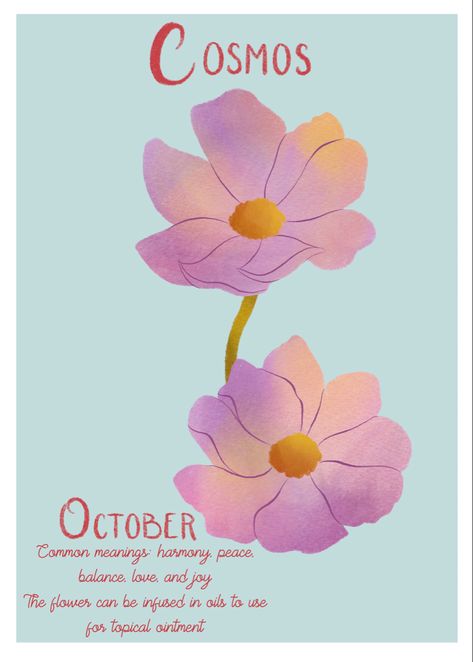 Cosmo Flower, Pink Cosmo, October Month, Cosmos Flowers, Happy Birthday To Me, Month Flowers, Me Time, Cosmos, Happy Birthday