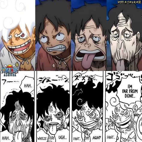 One Piece Deviantart, One Piece Funny Moments, Anime It, Meme Joke, Watching Anime, One Piece Cartoon, One Piece Wallpaper Iphone, Anime Funny Moments, One Piece Ace