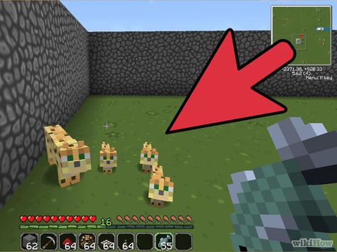 Tame an Ocelot in Minecraft Biome, Follow You, Quick Easy, The Game, Minecraft, Kids Rugs, 10 Things