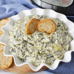 Instant Pot Appetizers, Instant Pot Spinach Artichoke Dip, Instant Pot Spinach, Spinach Appetizers, Best Spinach Artichoke Dip, Cashew Chicken Recipe, Instant Pot Yogurt, Vegetarian Bbq, Vegan Instant Pot Recipes