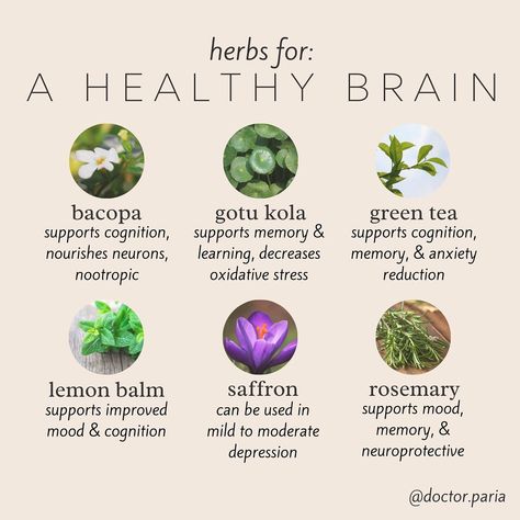 Dr. Paria | Health & Wellness’s Instagram profile post: “Going into 2022 ready to feel sharp 😎🌱🧠    Check out the studies that support these herbs👇🏼    Bacopa: PMID 23772955    Gotu kola:…” Bacopa Benefits, Gotu Kola Benefits, Bacopa Plant, Sacred Herbs, Herbal Education, Medicinal Herbs Garden, Medical Herbs, Magic Herbs, Gotu Kola