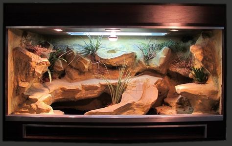 Bartagamen Terrarium, Bearded Dragon Vivarium, Bearded Dragon Terrarium Ideas, Lizard Terrarium, Bearded Dragon Diy, Bearded Dragon Terrarium, Bearded Dragon Enclosure, Bearded Dragon Funny, Bearded Dragon Cage