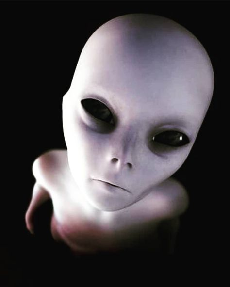 Iluminati on Instagram: “what do you see in my eyes...?👽👽🙏🙏🤚🤚👽 : : : : : Follow me ❤= @iluminati0 : : : : #beğeni #güzel #bilim #bilgi #önemli  #uzaylı👽 #dreams…” Alien Pics, Realistic Alien, Alien Eyes, Space Angels, See In, Alien Pictures, Alien Species, Cemetery Statues, Alien Artwork