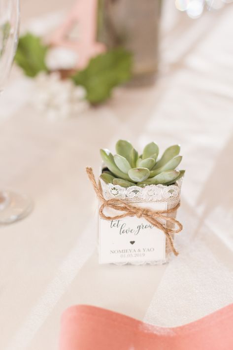 Wedding Receptions Ivory Table Cloths with Blush Napkins | Succulent Wedding Reception Centerpieces Guest Favors | Blush and Sage Rainy Sequoia Mansion Wedding | Adrienne and Dani Photography | Northern California Weddings | Rainy Wedding at the Wedgewood Sequoia Mansion Wedding Venue. Get more inspiration from this Sequoia Mansion Wedding  #mansionwedding #weddingphotography #northerncaliforniaweddings #winterwedding #rainywedding Candle Theme Wedding, Wedding Hampers, Moss Table, Jordan Wedding, Blush Wedding Colors, Homemade Wedding Favors, Honey Wedding Favors, Indian Wedding Favors, Succulent Wedding Favors