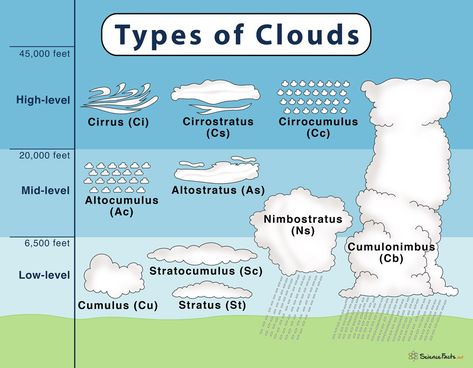 Cloud Diagram, Types Of Cloud, Cloud Types, Cloud Tattoos, Types Of Clouds, Earth Science Lessons, Cloud Type, Aviation Education, Matter Science