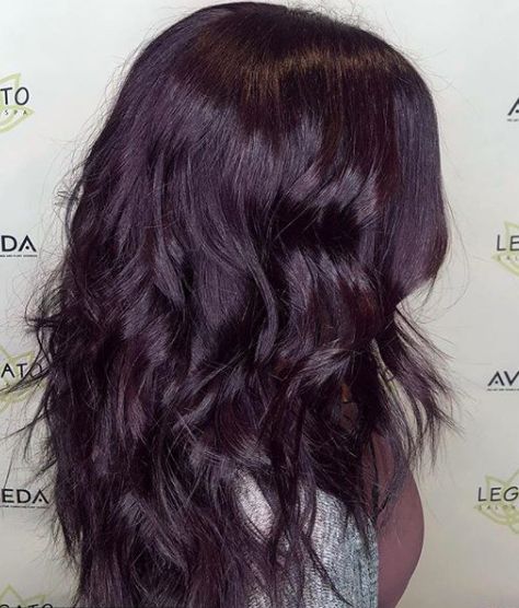 Super Dark Purple Hair, Eggplant Black Hair, Dark Purple In Brown Hair, Prune Hair Color, Dark Violet Hair Brown Deep Purple, Purple Glaze Hair, Dull Purple Hair, Dark Purple Plum Hair, Violet Dark Hair