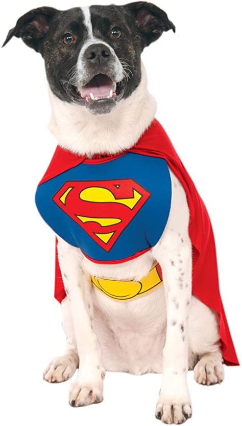 Amazon.com : DC Comics Pet Costume, Superman, Large : Pet Supplies Superman Halloween Costume, Dog Costumes Halloween Large, Superman Halloween, Costumes For Cats, Halloween Costumes For Dogs, Dog Swag, Superhero Halloween Costumes, Costumes For Dogs, Superhero Halloween