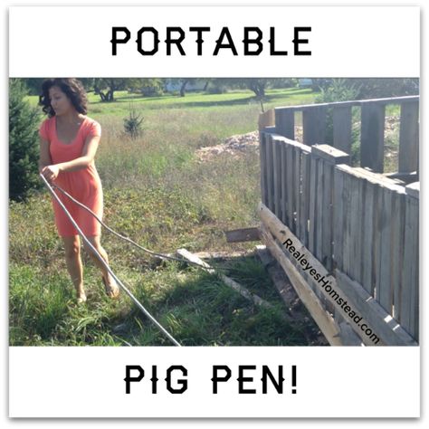 Pig Tractor, Permaculture Homestead, Goat Pen, Edible Landscape, Chicken Tractors, Pig Pen, Chicken Tractor, Animal Husbandry, Farm Ideas