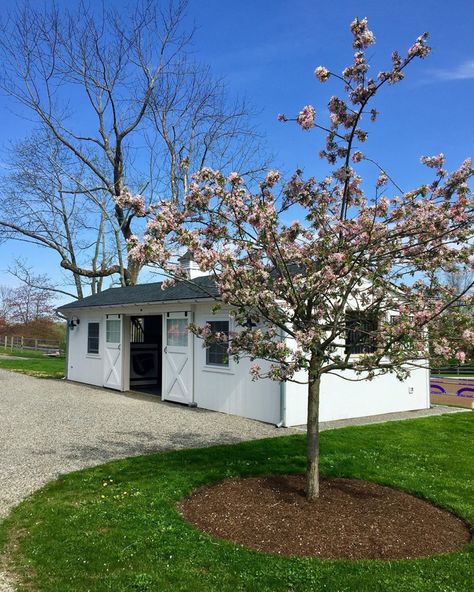 Mini Horse Barn, Small Horse Barn, Storage Barn, Small Horse Barns, Stable Style, Kennel Ideas, Backyard Barn, Small Barns, Horse Barn Designs