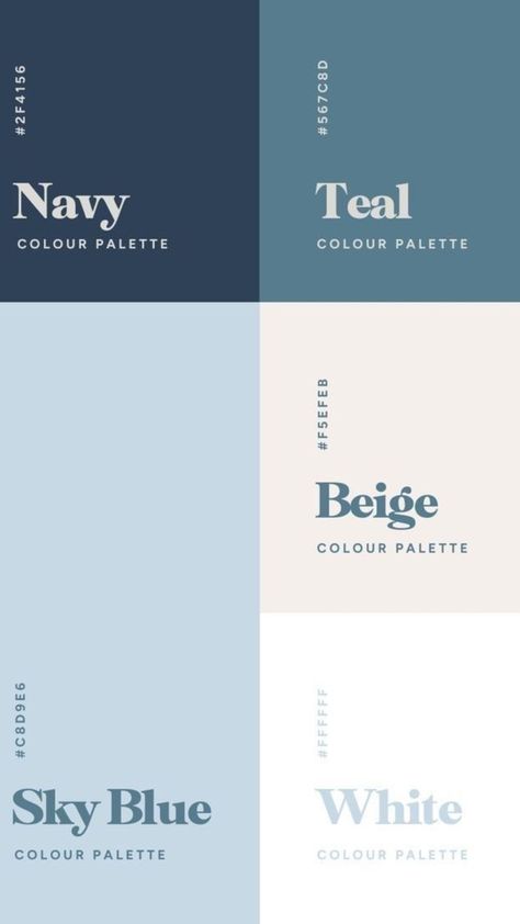 Light Colours Palette, Cool Tone Colour Palette, Colors For Website, Blue Room Color Palette, Color Palette Cool Tones, Light Blue Color Pallete, Baby Blue Colour Palette, Color Branding Palette, Colours That Go With Blue