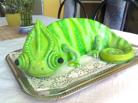 Chameleon cake for a veterinary Chameleon Cake Birthdays, Chameleon Party, Snake Cookies, Reptile Cookies, Chameleon Cake, Reptile Cake, Lizard Cake, Spider Cake, Reptile Party