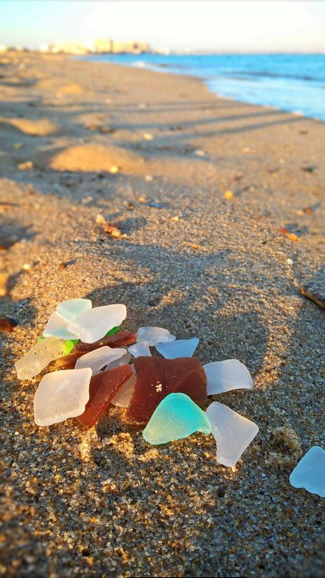 The seaglass treasures from my walk today. Chesapeake Beach. Virginia Beach, VA Beach Aquarium, What To Do In Virginia Beach, Virginia Beach Shopping, Virginia Beach Photography Locations, Virginia Beach Aquarium, Chesapeake Beach, Virginia Beach Boardwalk, Va Beach, Beach Place