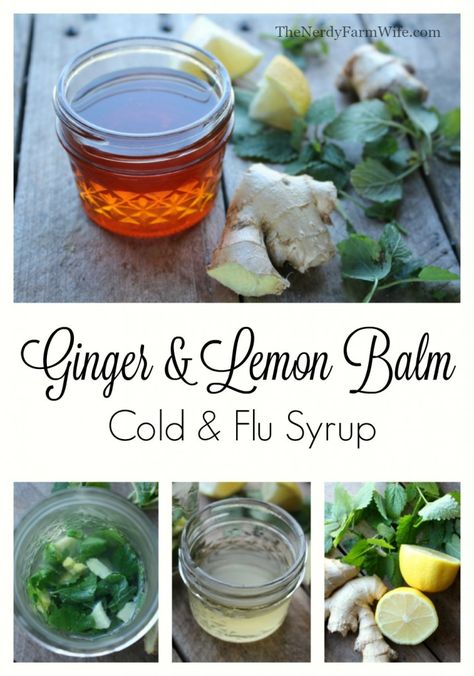 How to make an easy Ginger & Lemon Balm Cold & Flu Syrup Herbal Antibiotics, Natural Syrup, Fit Quotes, Ginger And Lemon, Natural Medicine Cabinet, Alligator Purse, Fit Bodies, Quotes Health, Farm Wife