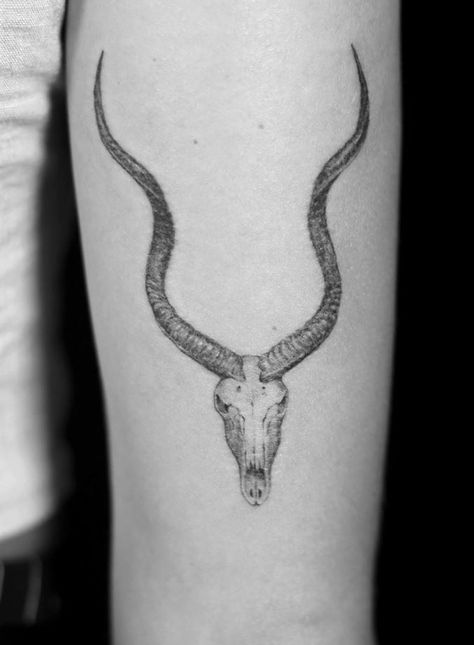 Antelope Skull Tattoo Kudu Skull Tattoo, Gazelle Skull Tattoo, Gothic Animal Tattoo, Antelope Skull Tattoo, Antelope Tattoo, Gazelle Skull, Skull Tattoo Meaning, Antelope Skull, Antler Tattoos