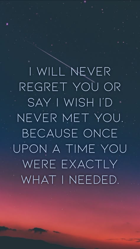 I Will Never Love Again Quotes, I Will Never Regret You Quotes, I Don't Regret Loving You Quotes, I Never Thought It Would End This Way, I'm Never The One Quotes, I Wish I Never Met You Quotes, Ignoring Quotes, I Needed You Quotes, Meeting You Quotes