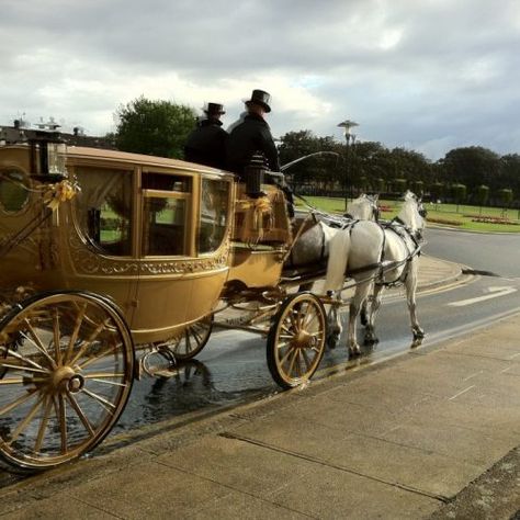 Carriage Aesthetic Royal, Horse Carriage Aesthetic, Carriage Aesthetic, Fairytale Entrance, Old Carriage, Kingdom Vbs, Cinderella Aesthetic, Vintage Carriage, Wedding Transport