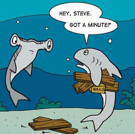 Shark humour Spanish Puns, Classroom Memes, Dream Classroom, Funny Spanish, School Pics, Spanish Jokes, Spanish Teaching Resources, Elementary Spanish, Sharks Funny