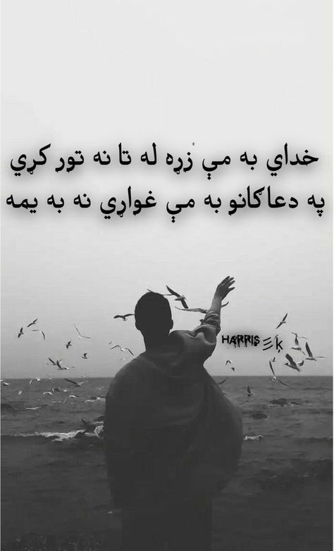 Pashto Poetry Attitude, Afghan Poetry, Poetry Anchor Chart, Poetry Lesson Plans, Poetry Books For Kids, Poetry Quotes Deep, Writing For Kids, Poetry Lesson, Pashto Shayari