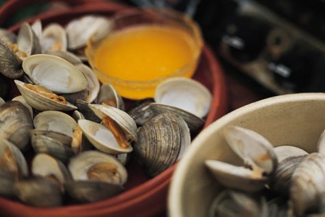 Bleaching, sanding, and a coat of oil give clamshells a polished look for crafts. Steamer Clams, How To Clean Clams, Steamed Clams, Wa State, Clam Bake, Oyster Shells, Clam Shell, Shell Crafts, Seafood Dishes