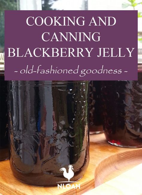 Blackberry Jelly With Pectin, How To Make Blackberry Jelly, Small Batch Blackberry Jelly, Blackberry Jelly Recipe Easy, Blackberry Jelly Recipe Seedless, Blackberry Jelly Recipe With Pectin, Dewberry Jelly Recipe, Blackberry Jelly Recipe, Canning Blackberries