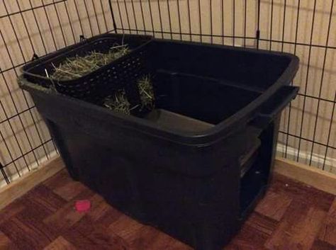 Bunny Feeder, Rabbit Litter Box Ideas Diy, Diy Rabbit Hay Feeder, Rabbit Hay Feeder Diy, Diy Hay Feeder For Rabbits, Rabbit Litter Box Ideas Hay Feeder, Diy Hay Feeder Rabbit, Hay Storage Ideas Bunny, Diy Rabbit Litter Box And Hay Feeder