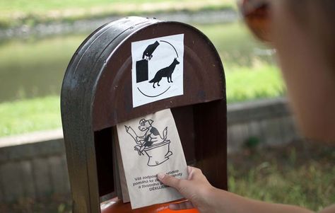 Pet Waste Station, Indoor Dog Park, Dog Waste Bag Dispenser, Types Of Waste, Pooper Scooper, Water Station, Indoor Dog, Dog Bag, Dogs Pooping