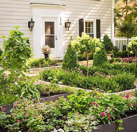 Front-yard garden Raised Beds In Front Yard, Basic Front Yard Landscaping Ideas, No Landscaping Front Yards, Front Yard Garden Boxes, Small Front Yards, Garden Design Layout Landscaping, Backyard Garden Beds, Simple Landscaping, Front Yard Plants