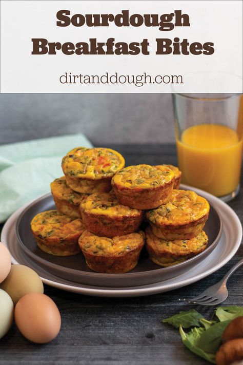 Sourdough Egg Bites, Sourdough Egg Bite Muffins, Sourdough Discard Mini Muffins, Active Sourdough Muffins, Mini Sausage Egg Muffins, Sourdough Starter Banana Muffins, Mini Egg Muffins, Sourdough Breakfast, Entree Ideas