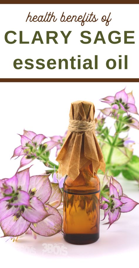 If you're wondering about the health benefits of Clary Sage, look no further than this informative post. All you need to know and more is here! Discovering the health benefits of essential oils is important. The more that you can educate yourself, the better you'll understand how to use essential oils. #essential oils #beauty #health #oil #rockymountainoils @3boysandadog Essential Oils For Laundry, Health Benefits Of Almonds, Estrogen Hormone, Benefits Of Essential Oils, Oils Essential, Gastric Juice, Cough Medicine, Sage Plant, Clary Sage Oil