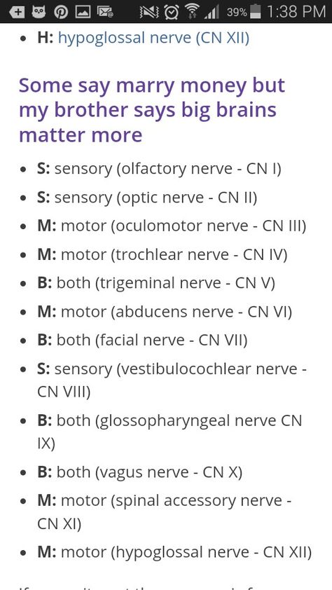 Mnemonic for function of 12 cranial nerves Cranial Nerves Notes, 12 Cranial Nerves Mnemonic, 12 Cranial Nerves, Nursing School Studying Cheat Sheets, Cranial Nerves Mnemonic, Nursing School Essential, Dental Hygiene School, Nursing School Motivation, Medical School Life