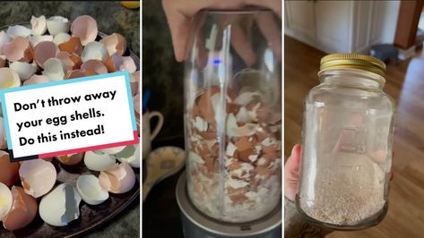 Gardener shares hack for making fertilizer out of eggshells Egg Shell Fertilizer, Eggshell Fertilizer, Garden Hack Ideas, Diy Fertilizer, Growing Tomato Plants, Gardening Hacks, Plant Hacks, Fertilizer For Plants, Diy Gardening