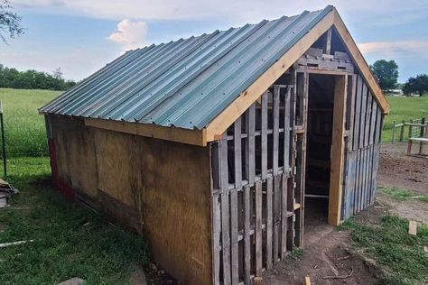 15 DIY Pallet Chicken Coop Ideas: Affordable Housings Diy Pallet Duck Coop, Simple Chicken House, Chicken Coop Made From Pallets, Diy Pallet Chicken Coop, Pallet Chicken Coop, Pallet Coop, Pallet Buster, Chicken Coop Ideas, Chicken Coop Pallets