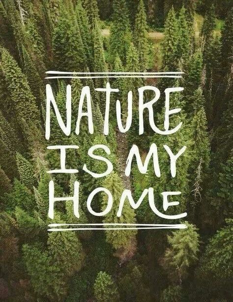 Nature is my Home Eco Therapy, Nature Quotes Beautiful, Mother Nature Quotes, Nature Quotes Adventure, Nature Words, Theme Nature, Belle Nature, Hiking Pictures, Habitat For Humanity