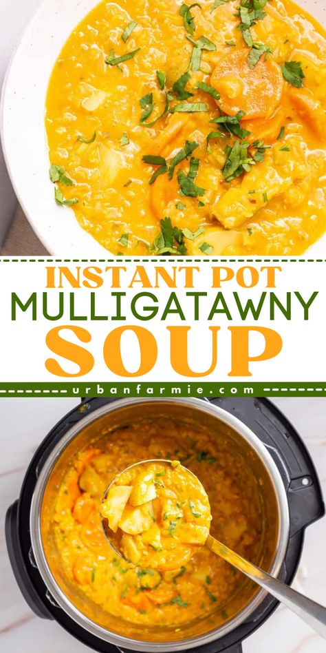 Warm up your fall with Instant Pot Mulligatawny Soup! This Indian curry soup is the perfect cozy dinner recipe, combining easy fall comfort food with vegetarian goodness. Spice up your night with this flavorful recipe. Enjoy a bowl of deliciousness tonight! Instant Pot Mulligatawny Soup, Muligawtany Soup Recipe, Mulligatawny Soup Recipe, Hearty Fall Meal, Soup With Lentils, Souper Cubes, Coconut Broth, Mulligatawny Soup, Vegetarian Soups