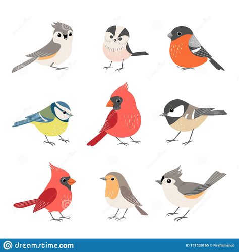 Illustration about Set of cute colorful winter birds isolated on white background. Illustration of vector, bird, design - 131539165 Winter Birds, Bullfinch, Animal Illustrations, Winter Bird, Art Et Illustration, Cute Poster, Racoon, Arte Animal, Bird Drawings