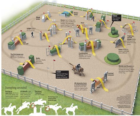 Stadium Jumping - great information for those of us that watch but never knew what the meaning is of each type of jump and the positioning of the individual jumps Horse Jump Course, Jumping Courses Horse, Jump Courses For Horses, Horse Jumping Courses, Showjumping Course, Show Jumping Course, Horse Jump Ideas, Illustrated Infographic, Horse Jumping Exercises