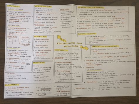 Recombinant Dna Technology Notes, Alevel Biology, Recombinant Dna Technology, Technology Notes, Recombinant Dna, Dna Technology, Mcat Study, A Level Biology, Print Planner